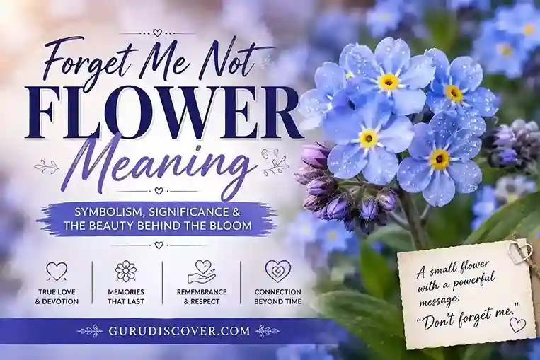 Forget Me Not Flower Meaning